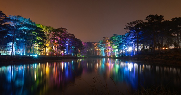 Hành trình “lột xác” ngoạn mục: Từ hồ Than Thở đến công viên Hoa & Ánh sáng nghệ thuật Delight Park Đà Lạt